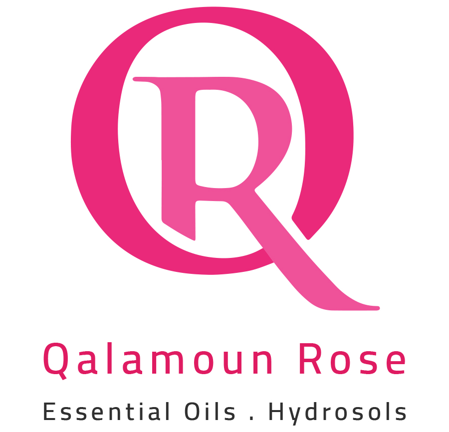 Qalamoun Rose - قلمون روز