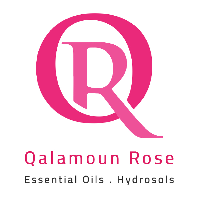 Qalamoun Rose