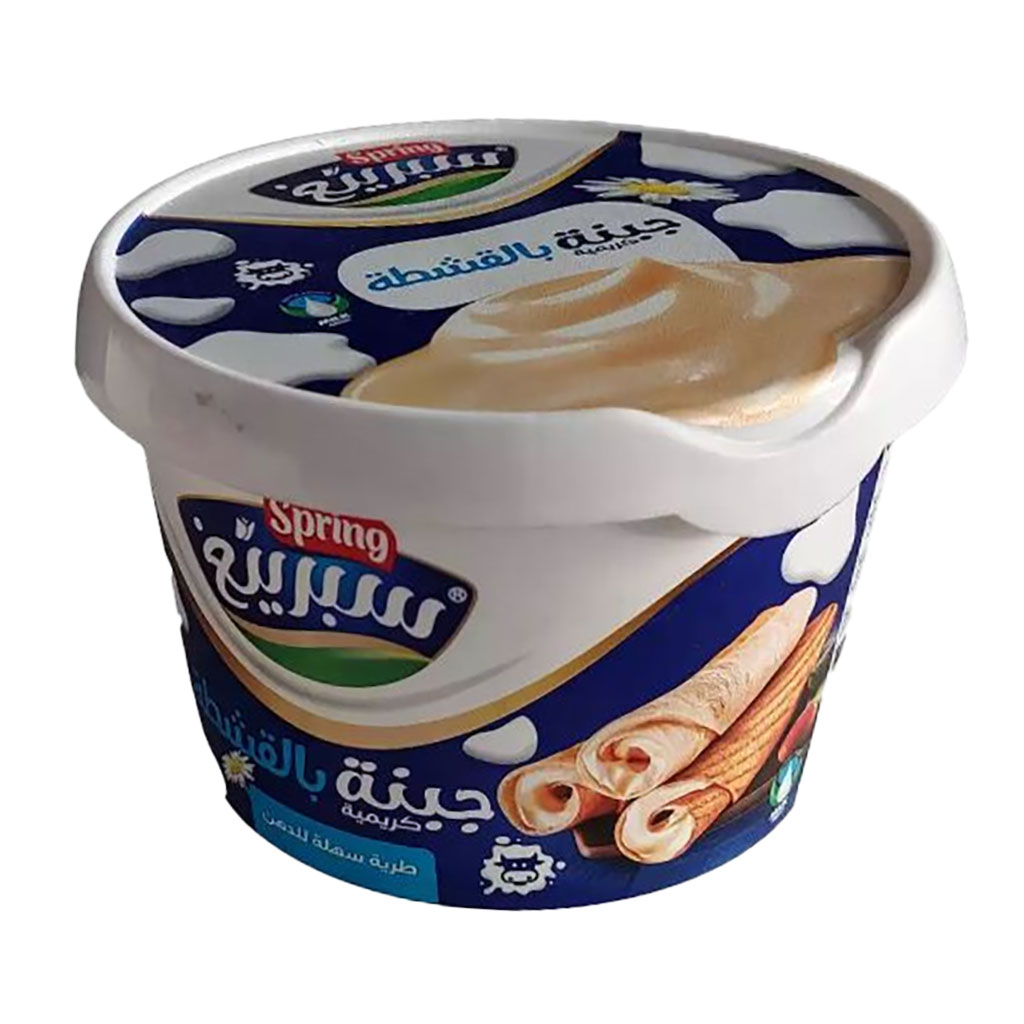 Spring - Cream Spread Cheese 400 Grams