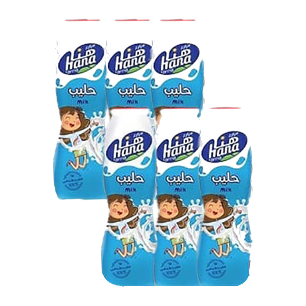 Hana - Milk 160 ml 6 pcs