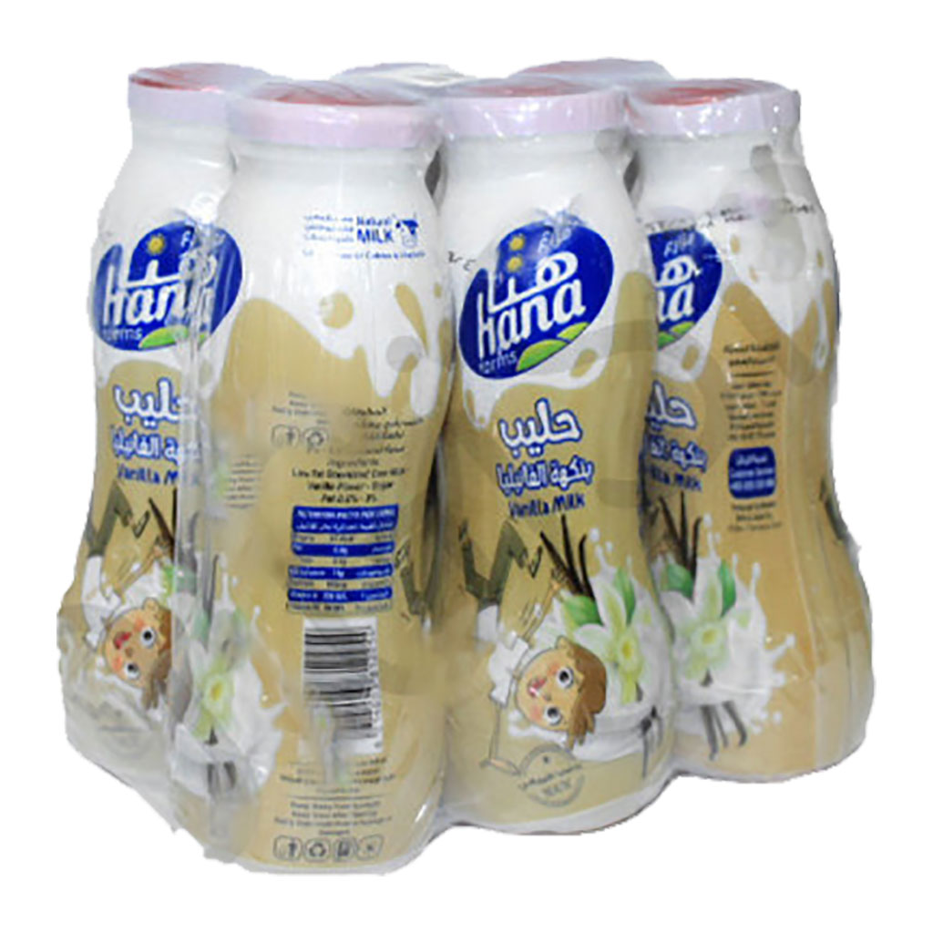 Hana - Flavored Milk 160 ml 6 pcs