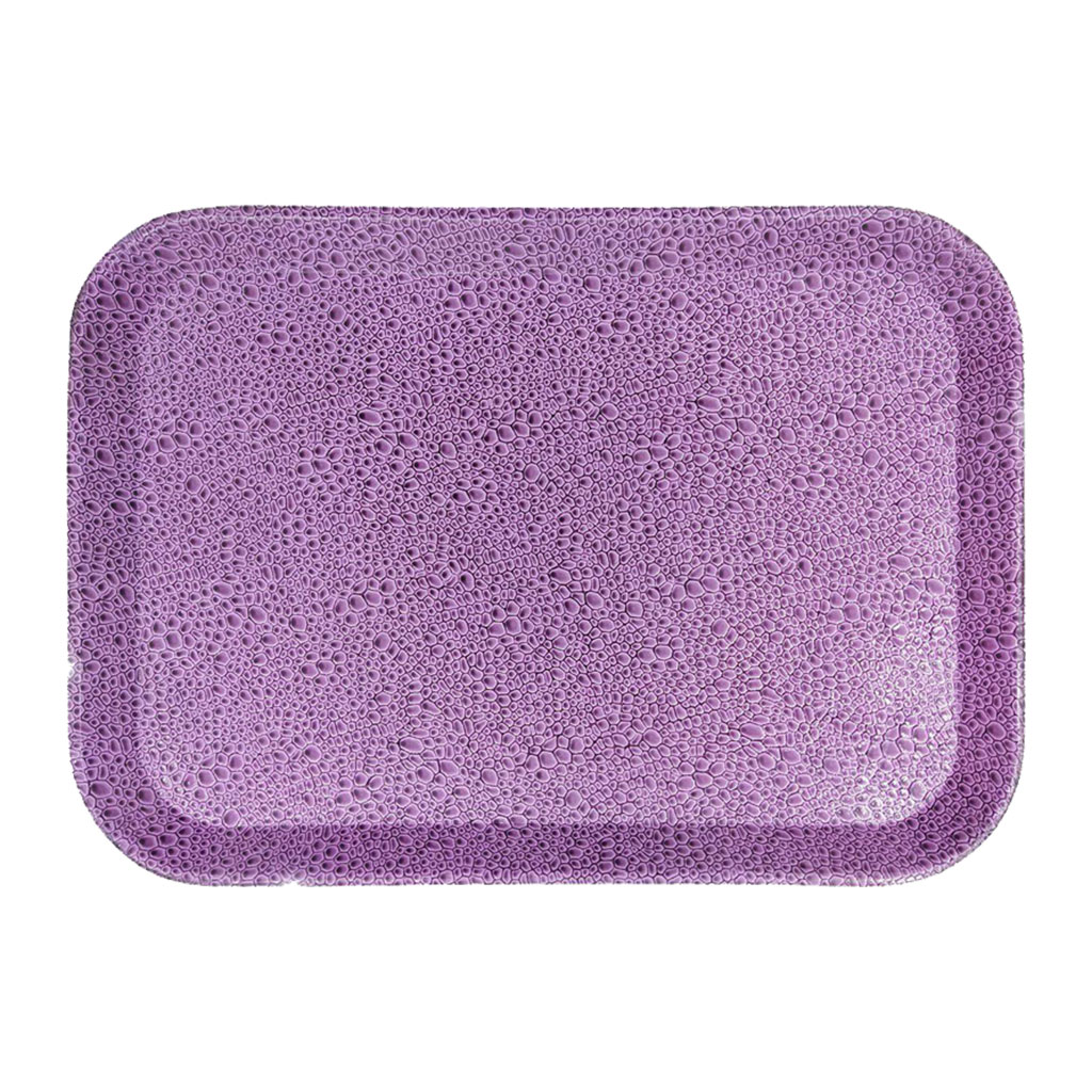 Plastic Plain Food Serving Tray Large Size