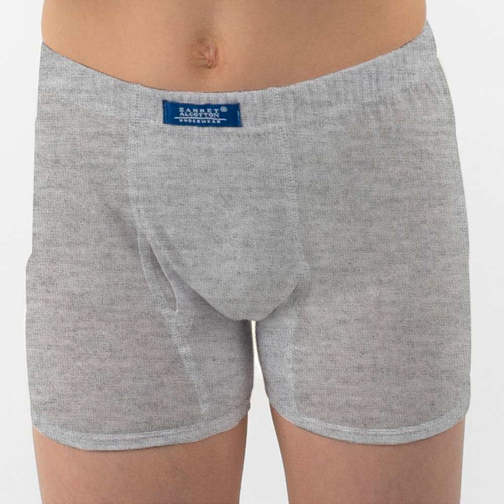 Boy's Underwear Trunk Single Jersey 90% Cotton grey 2024